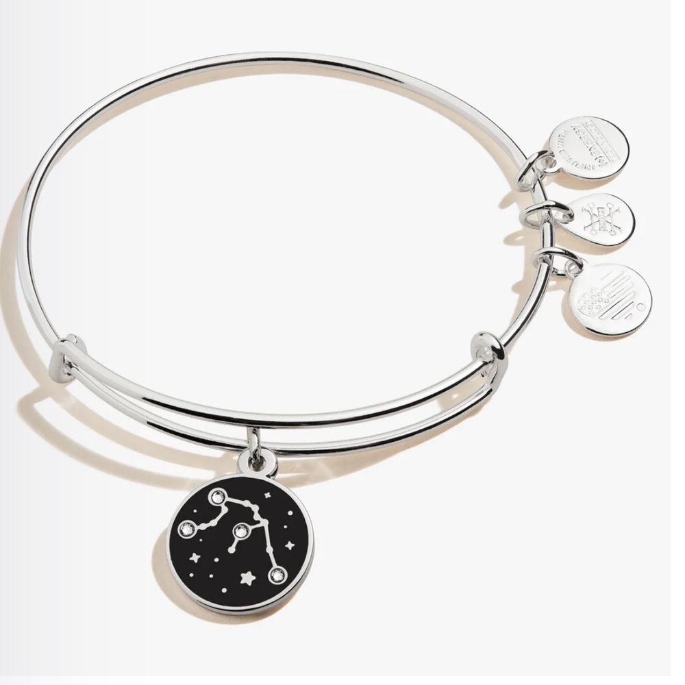 ✨Alex and Ani Aquarius Zodiac Charm Bangle✨